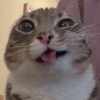 gabisnaga (@gabrilhante_) 's Twitter Profile Photo gabisnaga (@gabrilhante_) 's Twitter Profile Photo