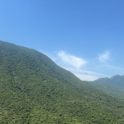 SureshM645592's profile picture. 