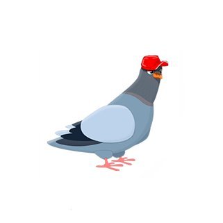 whacknowledge's profile picture. i read three things once and now i know everything