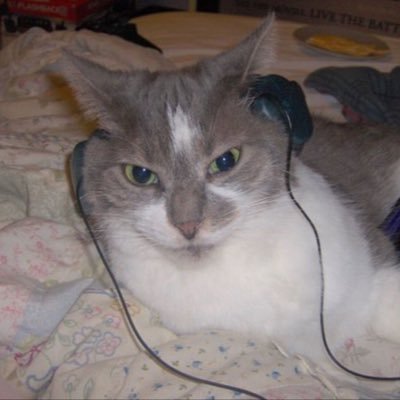 vrprivv's profile picture. 