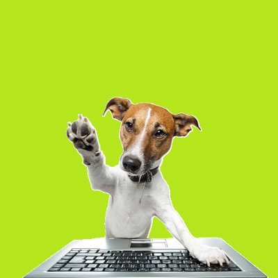 dogwifkeyboard's profile picture. no hat. just keyboard