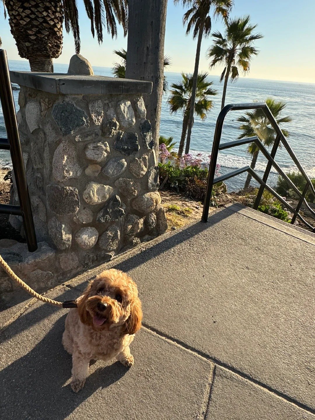 AWisoky65267's profile picture. Gods determine what you're going to be。