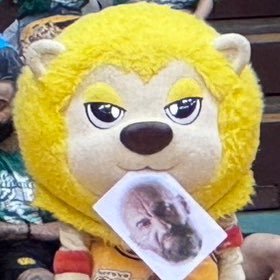 tyniners's profile picture. 89ers ティナ🦁💘仙台民。無言フォローいいね失礼します🙇‍♀️