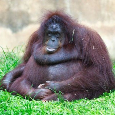 offensivelyfat's profile picture. its my wallet thats fat. my food wallet
