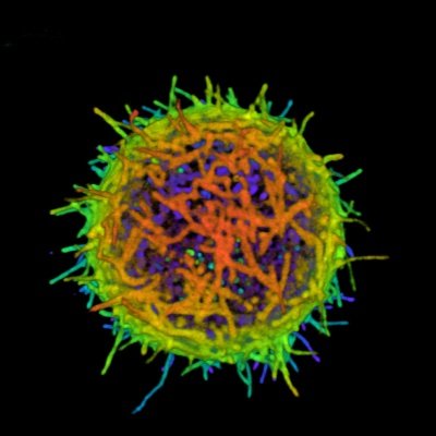 Single-molecule and superresolution imaging, nano photonics, immunology