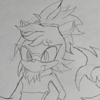 A gamer, artist when I wanna be, music hunter because I love finding new music to listen to, A huge sonic fan as it's what started my journey,making new friends