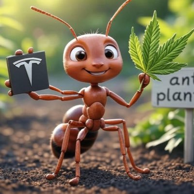 AntsPlant's profile picture. I love gardening, fishing, metal detectoring, gaming and investing. Hard working  with a vision. Let's talk.