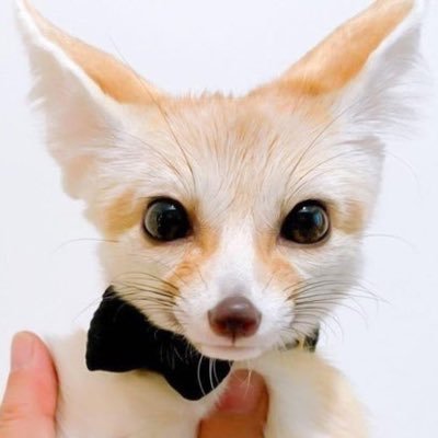 myblue_ovo's profile picture. 성실하나……..밝은아이이나..….문제가살짝있음