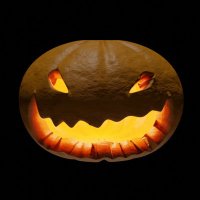 Follow Back Pumpkin Monster🎃 (@viksjva) 's Twitter Profile