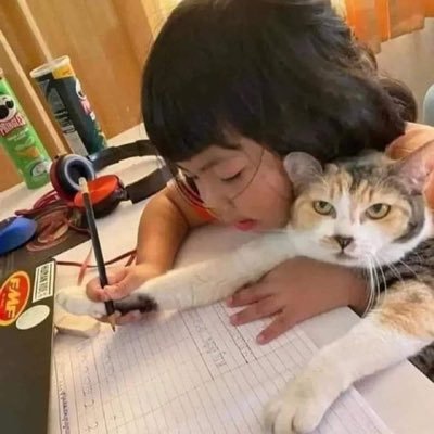 lalala05612736's profile picture. 