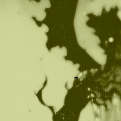 lgend96's profile picture. Beats Weed and Peace