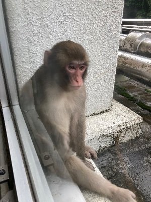 fB9RL8yfN7m8Wh3's profile picture. 週末のみ自転車に乗りますがジジイなので坂は登れません。ガチなやつじゃないです。愛車はパナモリとダホンroute　パナソニック アルミニ（買物号）です。Twitter良くわかりませんので迷惑かけてたらごめんなさい。