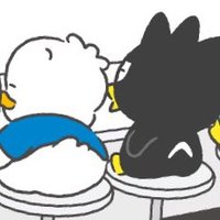 ひな (@superstray1) 's Twitter Profile