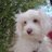 muddie_waters's profile image
