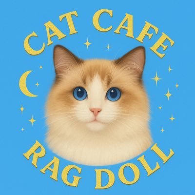 猫カフェラグドール【公式】💎大阪難波🐙さんのプロフィール画像