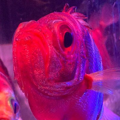 HsptqNeEC172747's profile picture.