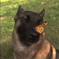 kafasıkarısık (@herkesiyenerim) Twitter profile photo