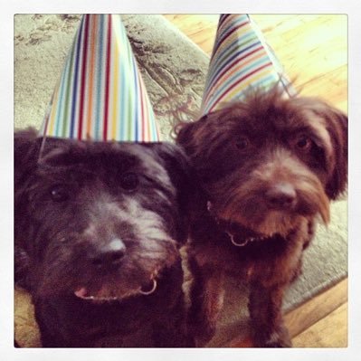 garyfleishman56's profile picture. 