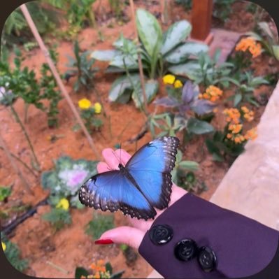 noorhs17's profile picture. 