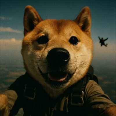 39ruBcDAFixhun8's profile picture. 17年入圈的老韭菜 DogeID DHtsEfTRfatLBBrswfDVaS7ciBz1p6JRTL