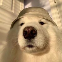 All_in_ETH (@hehe02051291) 's Twitter Profile