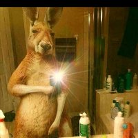 Sandro Weisse (@sandroweis7795) 's Twitter Profile