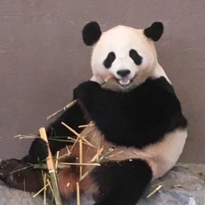 ねむえるなんだよなさんのプロフィール画像