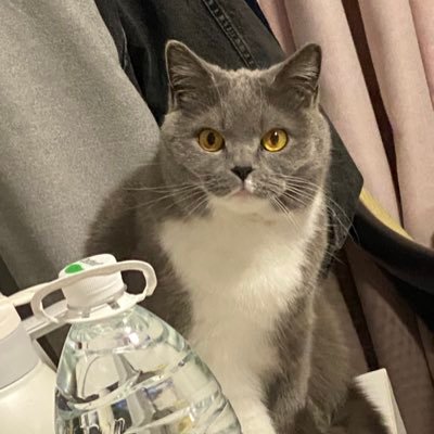 api_beer's profile picture. 白天只为谋生，而黑夜是为了爱