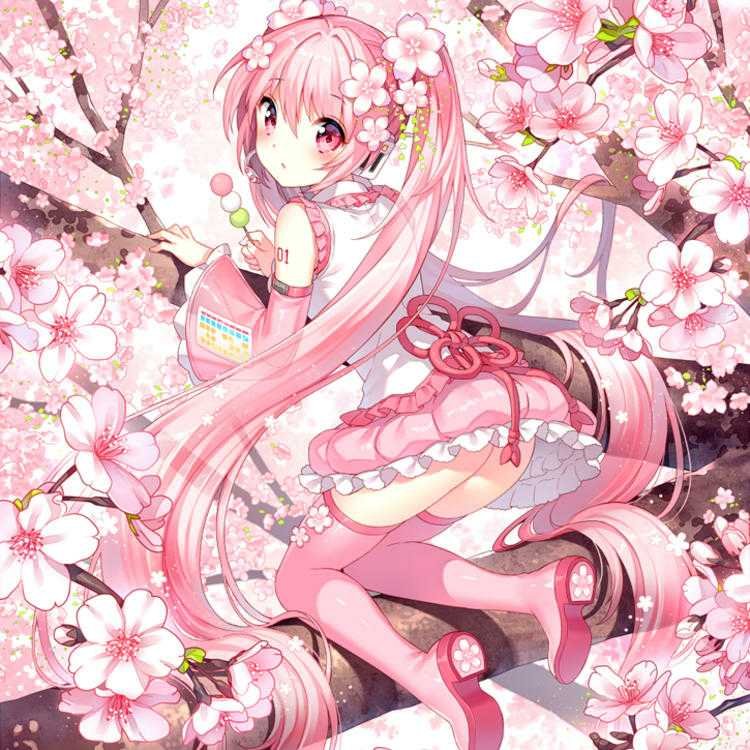 EstabrookL89331's profile picture. 
