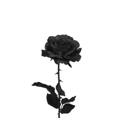 Hyst6r1a_8's profile picture. 愛に咲いた花の名前は Liar𓂃܀𓈒❀
