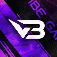 ViBe Gaming CS2 (@vibe_gaming_cs2) 's Twitter Profile
