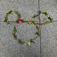 らいと (@light88801) 's Twitter Profile