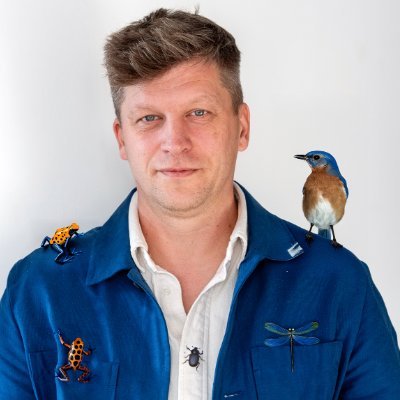 Solutions Consultant Digital Media @ Adobe - Digital Warrior in the crusade for #digitaltransformation. Passion for hiking. My tweets not Adobe