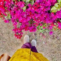 Riha Tara Bint Alauddin Chowdhury (@rayofriha) 's Twitter Profile
