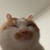 we were happy just to be alive ◡̈ (@minovacz) Twitter profile photo we were happy just to be alive ◡̈ (@minovacz) Twitter profile photo