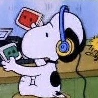 fawnrien's profile picture. ♡。·˚˚· ☃️