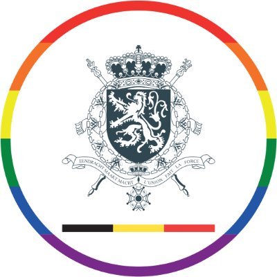 Official account of the Embassy of Belgium in Ireland 🇧🇪🇮🇪🇪🇺 Contact information can be found on our website.