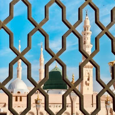 KhaulaQamar's profile picture. Oncology Research.