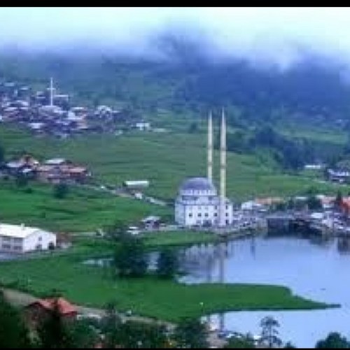 Ali_almutairy's profile picture. 