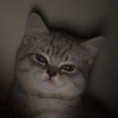 rectaungle's profile picture. electrical engineering | 1st acc @numpppy (deactive)