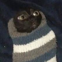 The black cat of bad luck that crosses your path ● Rts, vents, and unhinged ramblings about stuff only 𝘐 care about ● Do no harm, but take no shit ● Read 📌