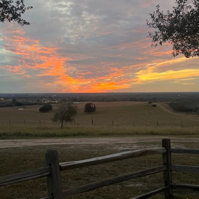 wtojr44's profile picture. Conservative family man, hunter, SEC sports lover, God loving Texan.