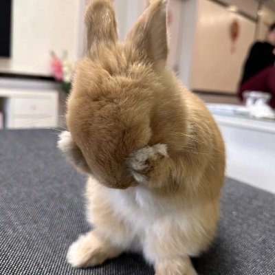 ๐(์ํ์ด์) Profile