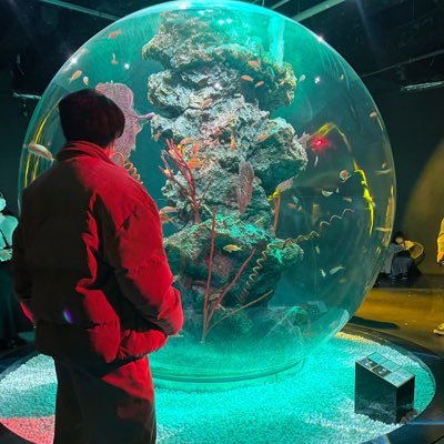 Jp5dTf's profile picture. 大阪⇔四日市 23