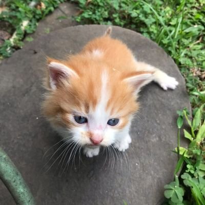 zetta2404's profile picture. 