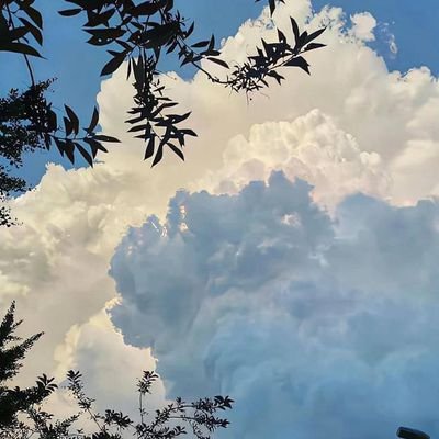 Cloudhopper_0's profile picture. 