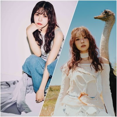 #小林由依 #yousti & staff 公式アカウントです。 小林由依 Instagram▶︎https://t.co/rt7XI7Tv4M 1st mini Album『yousti』 ー25.08.27 Releaseー