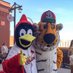 Anheuser Faurot (@louandzou) Twitter profile photo Anheuser Faurot (@louandzou) Twitter profile photo