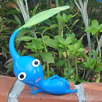 thrmyk8931's profile picture. 加古川の人。隣町は溜め池の国。