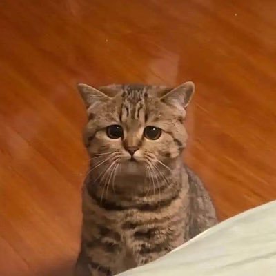 snasyhn's profile picture. 
